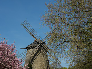 Mühle im Münsteralnd