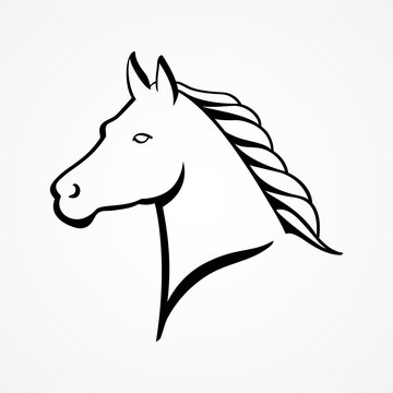 Line art illustration of a horse head
