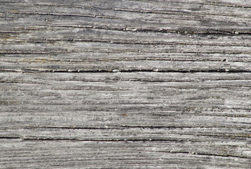 Gray wooden texture