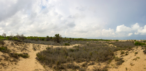 Dunes de La Marina