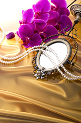 ピンクの胡蝶蘭