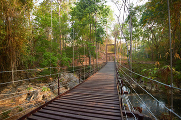 Fototapeta premium bridge over the river forest