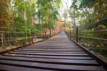 bridge over the river forest