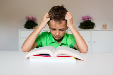 Young boy reading book