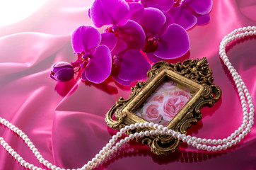 ピンクの胡蝶蘭