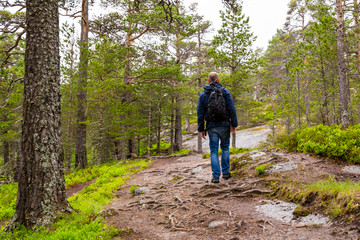 Obraz premium Man hiking in forest