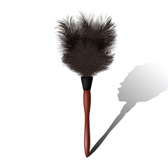 whisk dust for your design