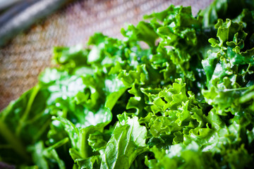 Chopped kale in a colander.