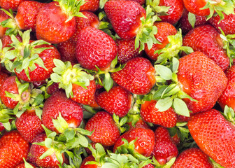strawberry on white background