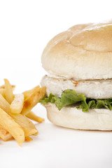 Chicken burger shot in studio