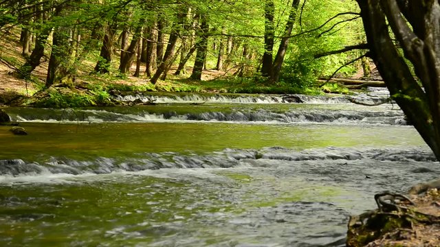 Progi wodne na rzece Tanew w miejscowości Susiec