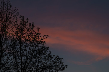 Evening sky and clouds