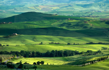  Farmland in Val d'Orcia Tuscany