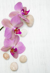 Fototapeta na wymiar Orchids and massage stones