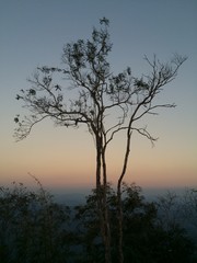 Fototapeta na wymiar Sunset on the hill