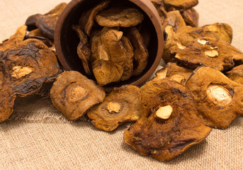 Dried mushrooms on canvas