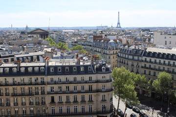 Naklejka premium Paris - Les Toits
