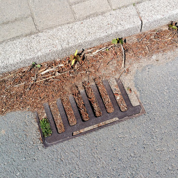 Ein mit Laub verstopfter Gulli