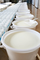 Plastic molds and milk with ferment for production cheese