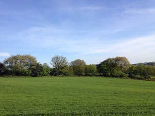 Naturlandschaft am Waldrand