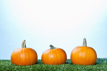 view of three pumpkins arranged in a row.