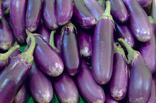 purple ripe eggplants in market