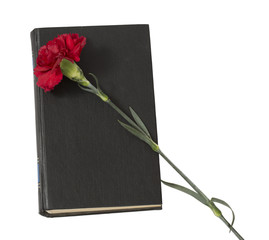 Carnation flower on a black-bound book