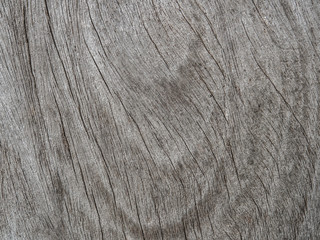 Old gray wood panel texture