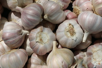 Frischer Knoblauch an einem Marktstand