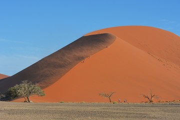 Fototapeta na wymiar Sandsturm an der Düne 45 (Namib-Naukluft-Nationalpark)
