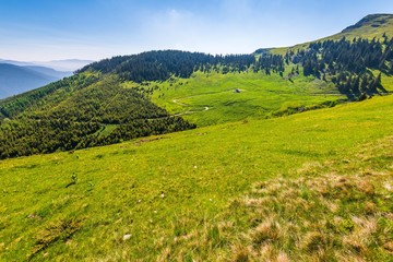 Naklejka premium Beautiful mountain road, Central Romania, Europe