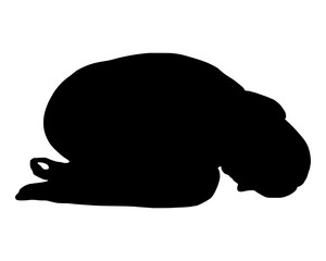 Silhouette einer Frau beim Yoga