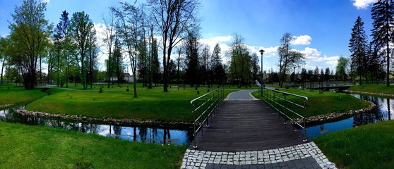 Naklejka premium piękna panorama z kładką i drzewami w parku