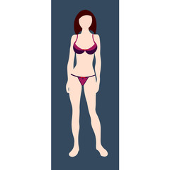 Vector image of lingerie. Underclothes