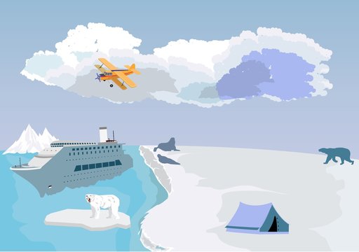 Arctoc and antarctic north pole life vector illustration