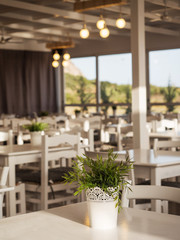 close up of table with flowers