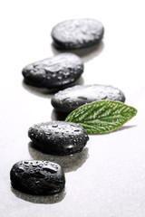 Fototapeta na wymiar spa basalt stones and green leaves with water drops on white