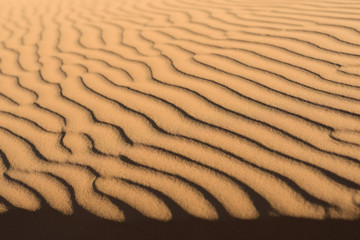 Sand dunes