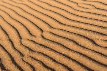 Sand dunes