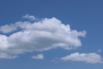 Fototapeta premium 青空に漂う雲