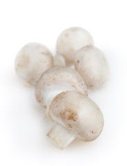 White mushrooms isolated on white background with clipping path