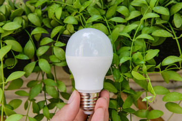 LED Bulb on plant background - The green tenhnology