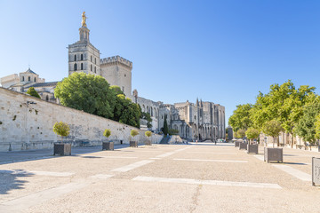 Avignon, France. Papal Palace and Cathedral (UNESCO World Heritage)