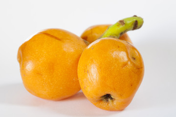 Loquat medlar
