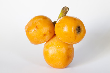 Loquat medlar
