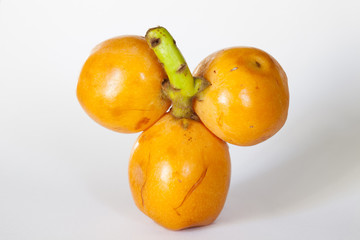 Loquat medlar
