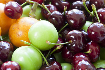 summer fruit. Loquat-medlar, cherry, plum
