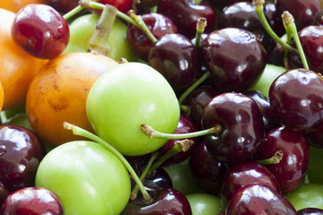 summer fruit. Loquat-medlar, cherry, plum
