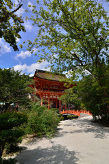 上賀茂神社　夏