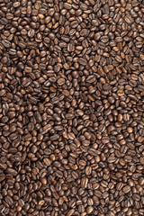 vertical image of coffee beans.